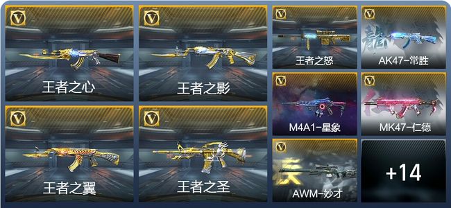 穿越火线：枪战王者V7 13王者武器 199英雄武器 6英雄角色 313万化 专家