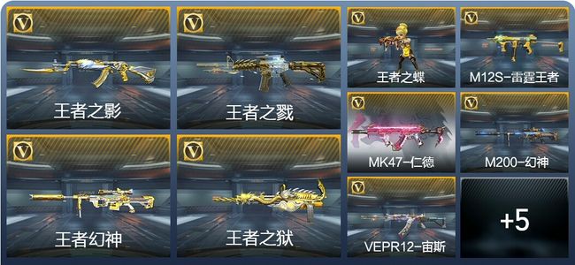 穿越火线：枪战王者V8 6王者武器 216英雄武器 4英雄角色 423万化 专家