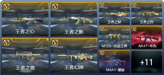 穿越火线：枪战王者V6 11王者武器 252英雄武器 6英雄角色 446万化 专家