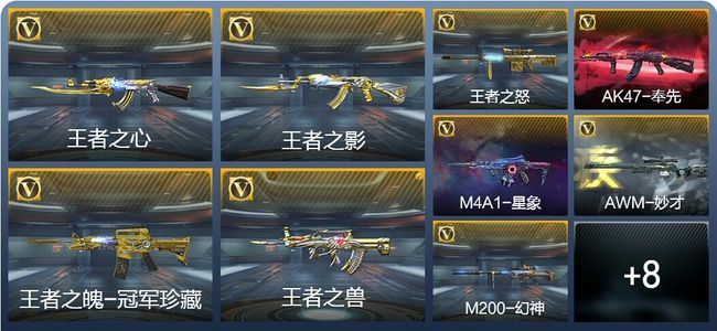 穿越火线：枪战王者V8 6王者武器 198英雄武器 6英雄角色 365万化 专家