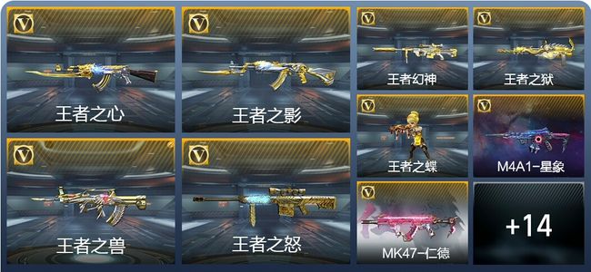 穿越火线：枪战王者V8 13王者武器 237英雄武器 5英雄角色 351万化 专家