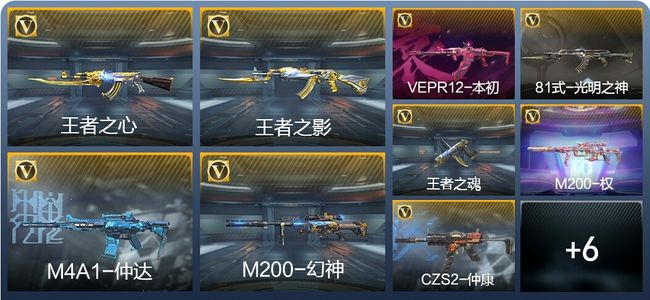 穿越火线：枪战王者V6 6王者武器 159英雄武器 6英雄角色 291万化 专家