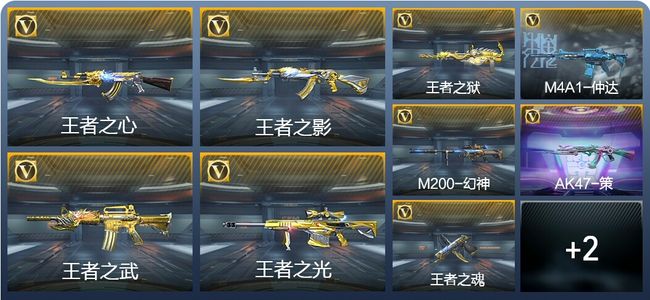 穿越火线：枪战王者V7 8王者武器 206英雄武器 1英雄角色 474万化 专家