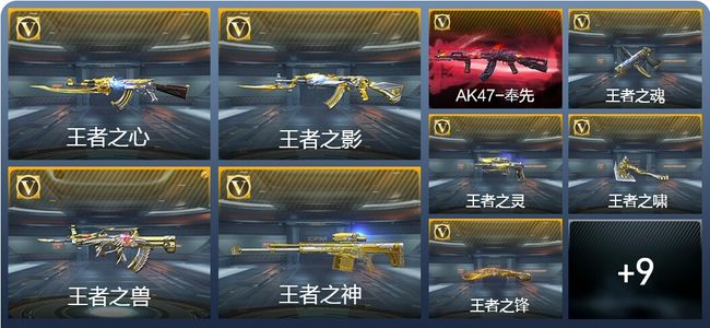 穿越火线：枪战王者V8 15王者武器 151英雄武器 2英雄角色 201万化 专家