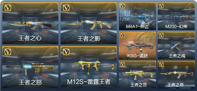 穿越火线：枪战王者V6 7王者武器 188英雄武器 6英雄角色 396万化 专家