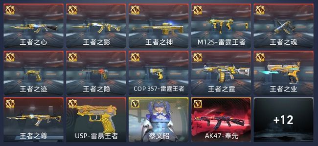 穿越火线：枪战王者V6 11王者 300英雄武器 6英雄角色 425万化 专家