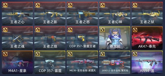 穿越火线：枪战王者V8 8王者 202英雄武器 6英雄角色 416万化 专家
