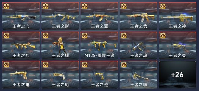 穿越火线：枪战王者V9 29王者 315英雄武器 6英雄角色 686万化 专家