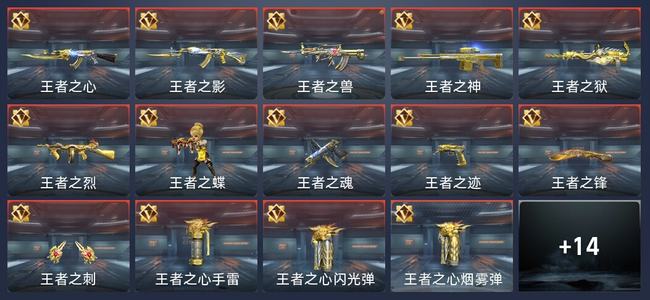 穿越火线：枪战王者V8 19王者 316英雄武器 5英雄角色 587万化 专家