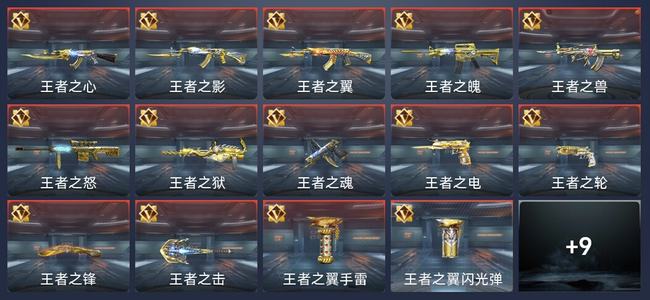 穿越火线：枪战王者V9 19王者 166英雄武器 6英雄角色 323万化 专家