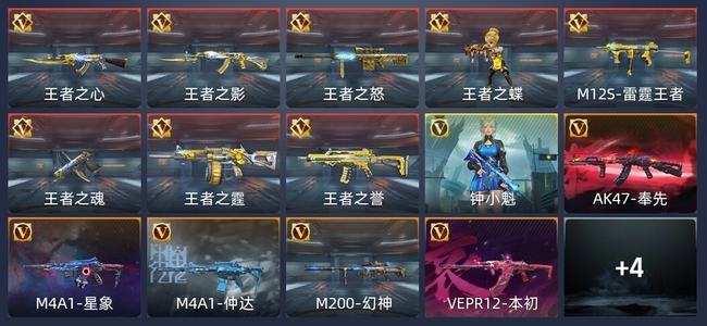 穿越火线：枪战王者V7 8王者 263英雄武器 6英雄角色 446万化 专家