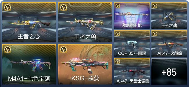 穿越火线：枪战王者V5 5王者武器 94英雄武器 3英雄角色 140万化 专家S