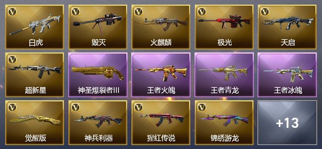 穿越火线（CF）6王者武器 17V武器 2V角色 4皮肤 可排位 传奇