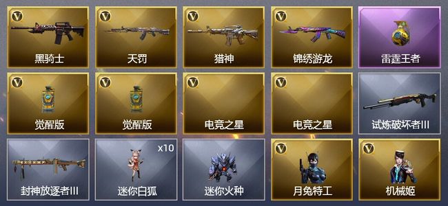 穿越火线（CF）1王者武器 8V武器 2V角色 1皮肤 可排位 专家