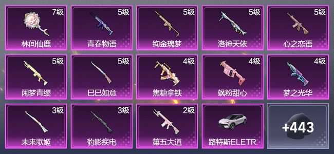 和平精英4载具 13升级枪 36粉装 9飞行器 239枪皮 190套装 98443热力 16印记 王牌