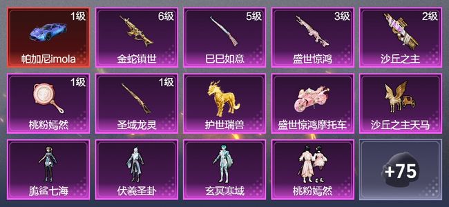 和平精英3载具 6升级枪 4粉装 1飞行器 50枪皮 23套装 25522热力 黄金