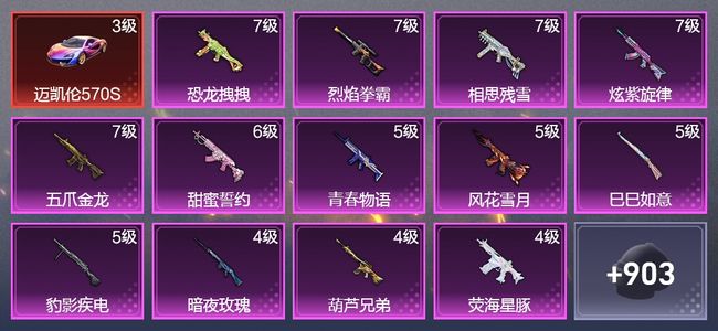和平精英11载具 13升级枪 45粉装 10飞行器 464枪皮 423套装 200489热力 20印记 王牌