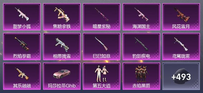 和平精英1载具 11升级枪 19粉装 3尾迹 242套装 11,5222热力 8印记