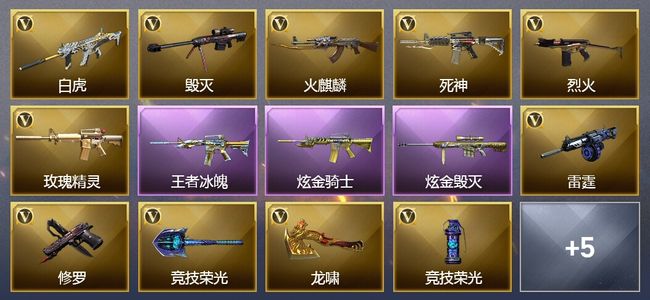 穿越火线（CF）1王者武器 2炫金武器 13V武器 1V角色 7皮肤 可排位 专家