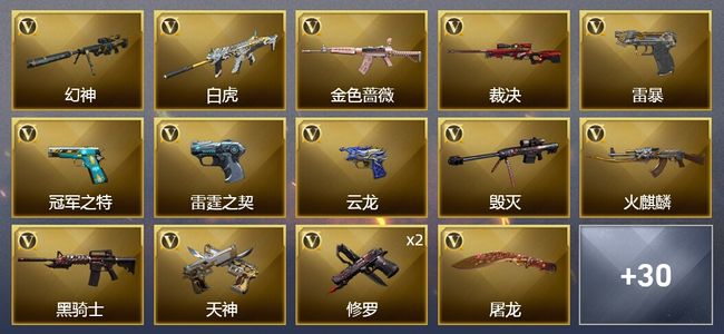 穿越火线（CF）1炫金武器 65V武器 1V角色 7皮肤 可排位 传奇