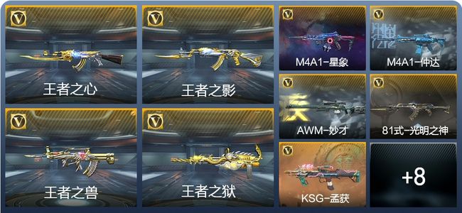 穿越火线：枪战王者V7 6王者武器 207英雄武器 6英雄角色 483万化 专家