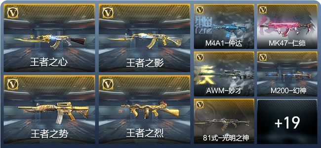 穿越火线：枪战王者V6 11王者武器 242英雄武器 6英雄角色 544万化 专家