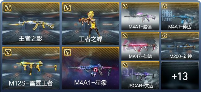 穿越火线：枪战王者V6 4王者武器 239英雄武器 6英雄角色 488万化 专家