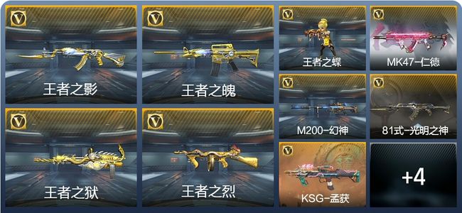 穿越火线：枪战王者V6 5王者武器 162英雄武器 4英雄角色 313万化 专家