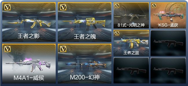 穿越火线：枪战王者V5 3王者武器 189英雄武器 6英雄角色 354万化 专家