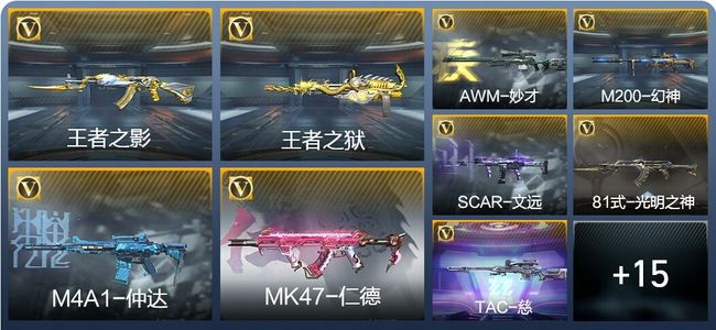 穿越火线：枪战王者V6 5王者武器 235英雄武器 6英雄角色 453万化 专家