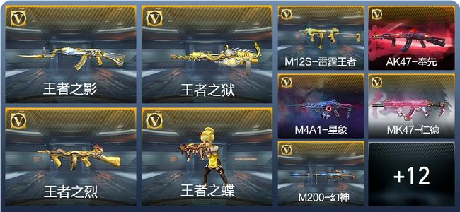 穿越火线：枪战王者V7 7王者武器 251英雄武器 4英雄角色 307万化 专家