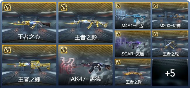 穿越火线：枪战王者V8 8王者武器 110英雄武器 3英雄角色 282万化 专家