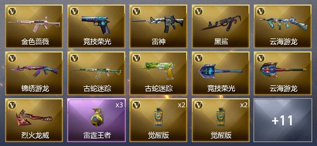 穿越火线（CF）1王者武器 24V武器 1V角色 2皮肤 可排位 新锐