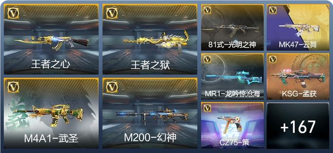 穿越火线：枪战王者V8 6王者武器 196英雄武器 5英雄角色 313万化 枪王