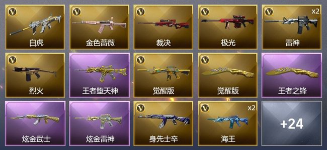 穿越火线（CF）4王者武器 2炫金武器 28V武器 13皮肤 可排位 传奇