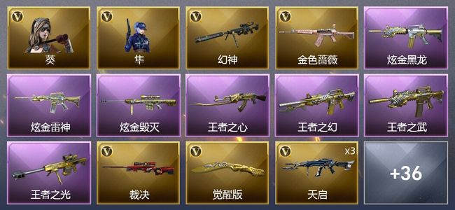 穿越火线（CF）4王者武器 3炫金武器 56V武器 2V角色 5皮肤 可排位 新锐