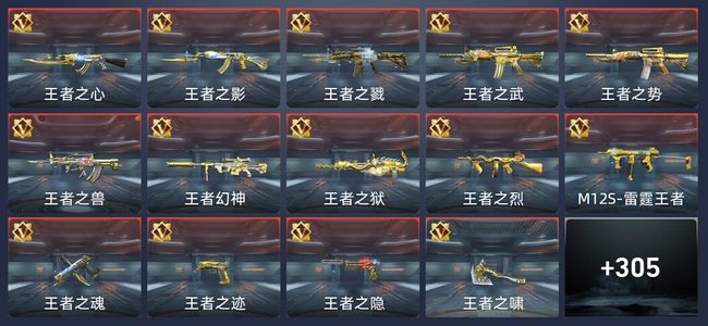 穿越火线：枪战王者35王者 308英雄武器 11英雄角色 613万化 枪皇SS
