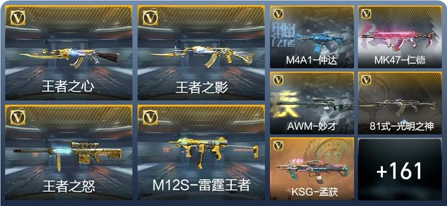 穿越火线：枪战王者V6 12王者武器 194英雄武器 4英雄角色 300万化 传奇