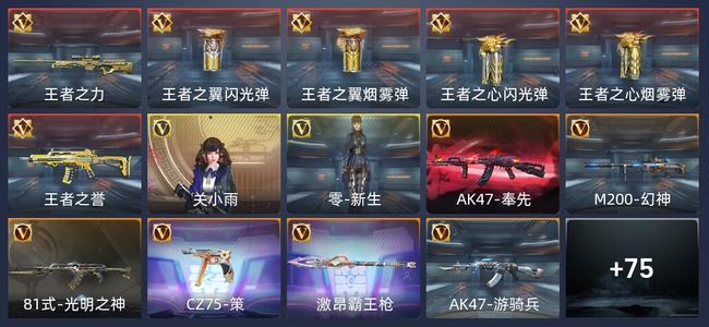 穿越火线：枪战王者V6 6王者 96英雄武器 2英雄角色 167万化 枪王