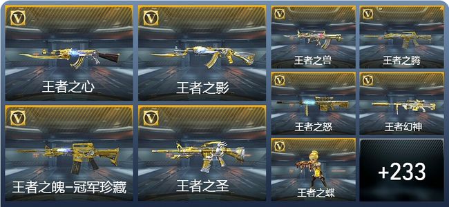 穿越火线：枪战王者24王者武器 242英雄武器 14英雄角色 435万化 枪王SSS