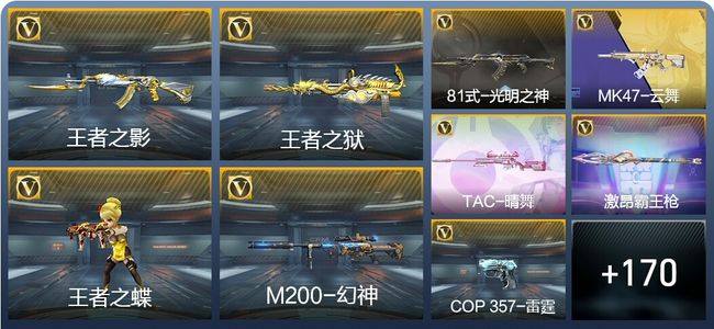 穿越火线：枪战王者V5 8王者武器 179英雄武器 11英雄角色 253万化 大师SS