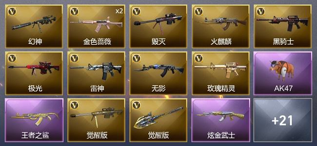 穿越火线（CF）1王者武器 1炫金武器 27V武器 1V角色 9皮肤 可排位