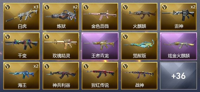 穿越火线（CF）2王者武器 1炫金武器 39V武器 3V角色 10皮肤 可排位 枪王