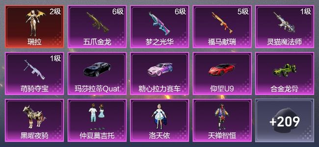 和平精英5载具 5升级枪 9粉装 7尾迹 118枪皮 94套装 48121热力 7印记