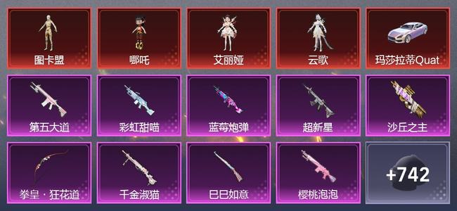 和平精英【苹果版】10载具 0升级枪 38粉装 27尾迹 350套装 176212热力 13印记