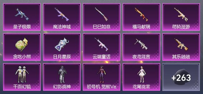 和平精英【苹果版】0载具 0升级枪 5粉装 7尾迹 133套装 51352热力 13印记