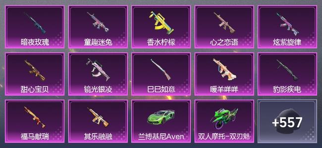 和平精英7载具 0升级枪 20粉装 11尾迹 263套装 133859热力 22印记