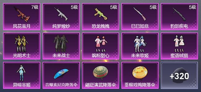 和平精英5升级枪 6粉装 1尾迹 195枪皮 142套装 59590热力 12印记 星钻