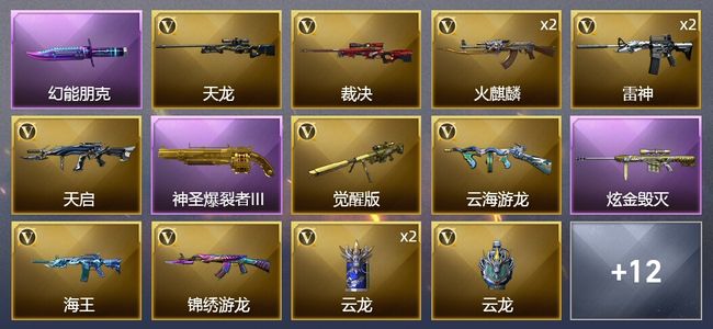 穿越火线（CF）1炫金武器 25V武器 8皮肤 可排位 传奇