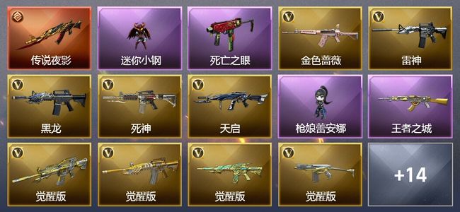 穿越火线（CF）1传说武器 1王者武器 1炫金武器 20V武器 2V角色 11皮肤 可排位 传奇